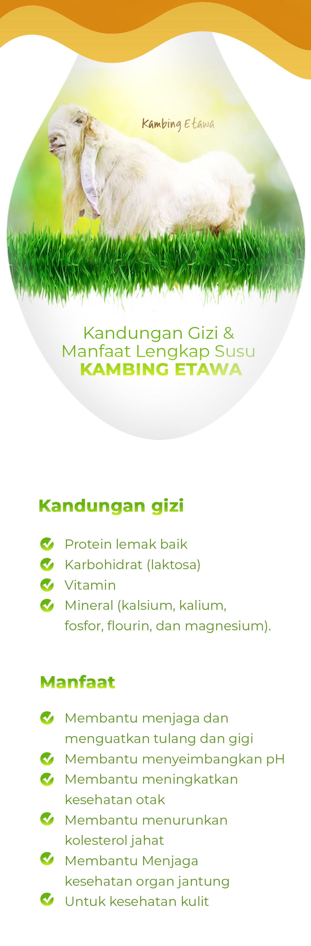 harga k-linkproduct.web.app susu kambing etawa