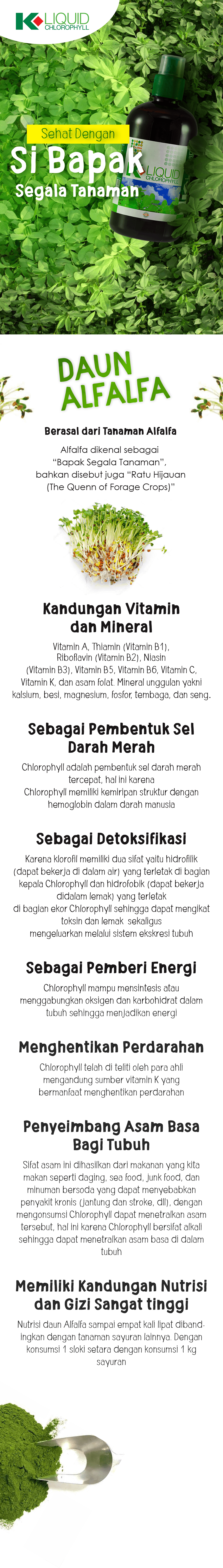 solusi k-linkproduct.web.app k-liquid chlorophyll